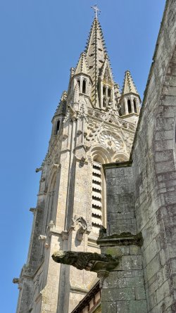 IMG_9055.JPEG