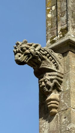 IMG_9262.JPEG