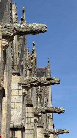 IMG_9263.JPEG