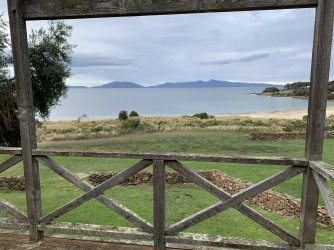 IMG_4196.jpeg IMG_4196.jpeg