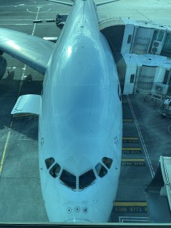 IMG_9423.jpeg
