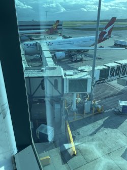 IMG_9424.jpeg