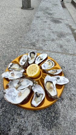 IMG_9487.JPEG IMG_9487.JPEG