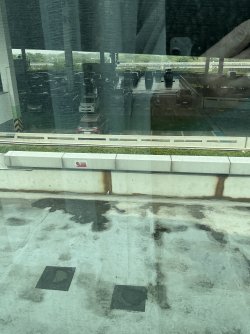 IMG_9454.jpeg