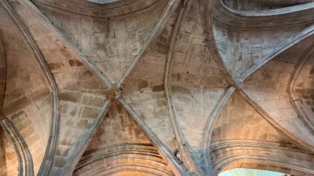 IMG_9743.JPEG IMG_9743.JPEG