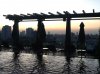 IMG_0149.jpg