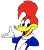 Woodpecker.jpg