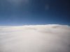 DSC00559.JPG