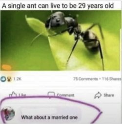 IMG_5482.jpeg