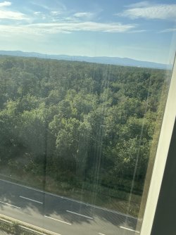 IMG_9483.jpeg