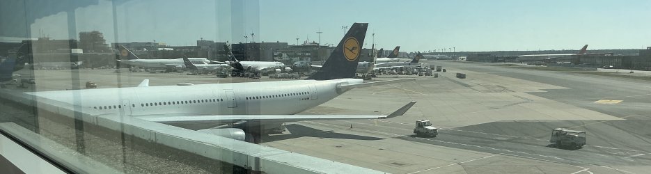 IMG_9485.jpeg