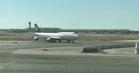 IMG_9484.jpeg
