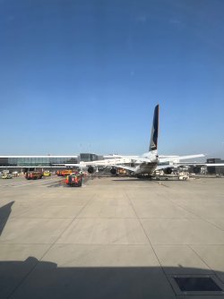 IMG_9479.jpeg
