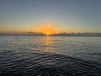 IMG_8420.jpeg