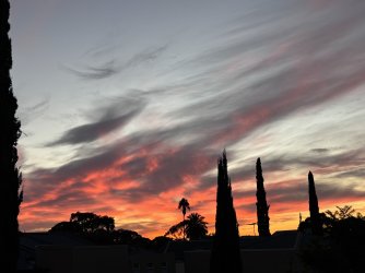 IMG_4708.jpeg