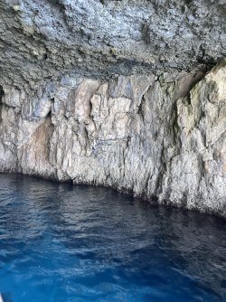 IMG_1873.jpeg