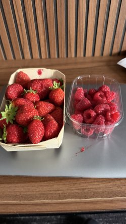 IMG_0178.jpeg