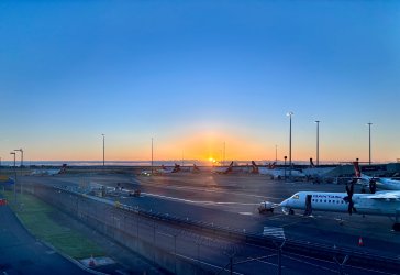 IMG_8442.jpeg