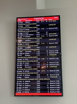 IMG_6398.jpeg