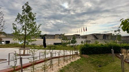 IMG_0077.JPEG