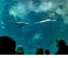 JP CM Day 05 Osaka Aquarium 11.jpg