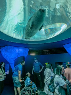 JP CM Day 05 Osaka Aquarium 14.jpg