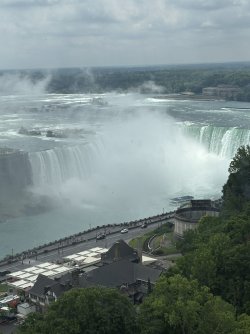 IMG_1054.jpeg