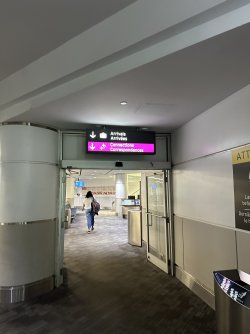 IMG_1014.jpeg