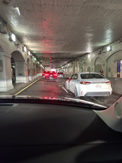 IMG_1024.jpeg