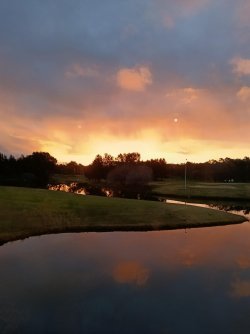 IMG_20260627_174342.jpg