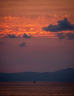 JP CM Day 05 Osaka Sailing Sunset 03.JPG