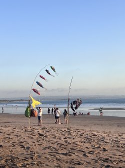 IMG_1684.jpeg