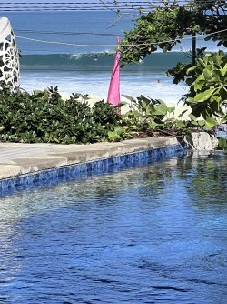 IMG_1695.jpeg