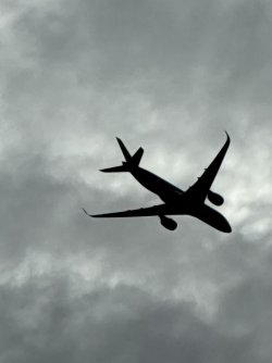 IMG_6988.jpeg