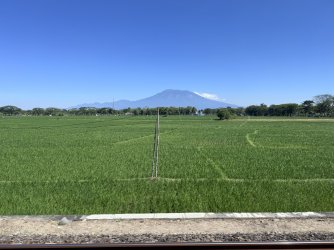 IMG_1675.jpeg