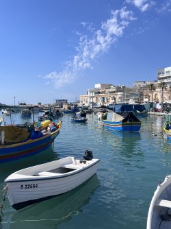 IMG_1770.jpeg