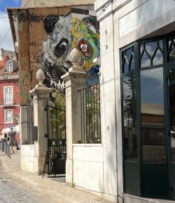 IMG_1941.jpeg
