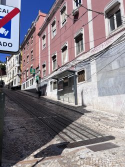 IMG_1954.jpeg