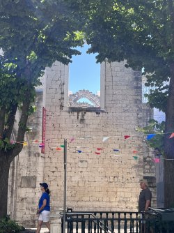 IMG_1955.jpeg
