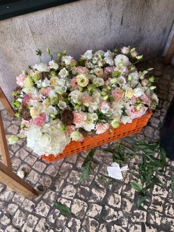 IMG_1958.jpeg