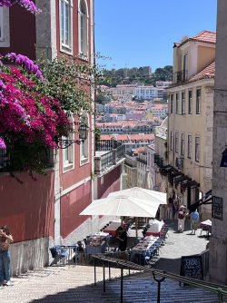IMG_1966.jpeg