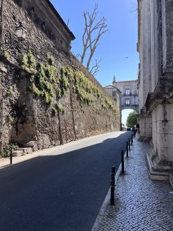 IMG_1980.jpeg