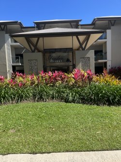 IMG_5031.jpeg