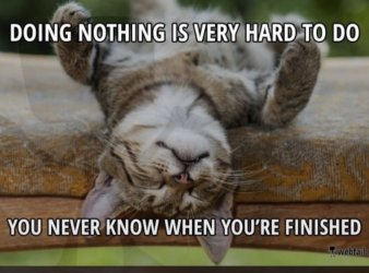 IMG_5511.jpeg