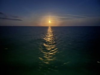 IMG_0824.jpeg