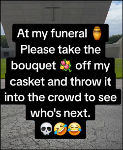 1783071580031.png