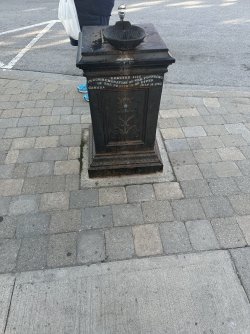 IMG_1437.jpeg