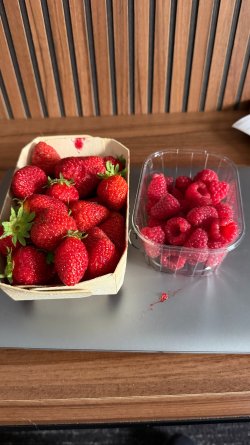 IMG_0178.JPEG