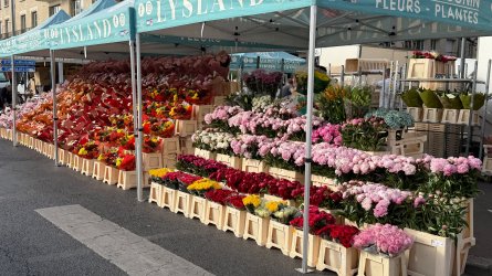 IMG_0181.JPEG