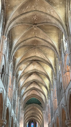 IMG_0191.JPEG